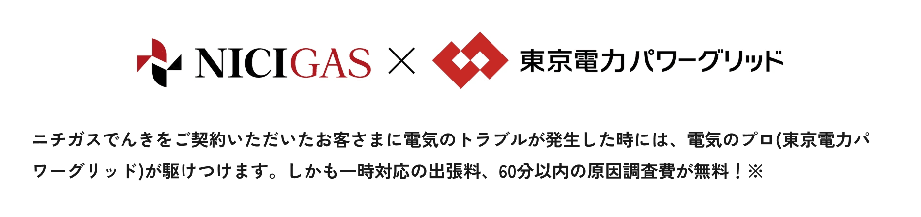 ニチガスでんきをご契約いただいたお客さまに電気のトラブルが発生した時には、電気のプロ(東京電力パワーグリッド)が駆けつけます。しかも一時対応の出張料、60分以内の原因調査費が無料!※