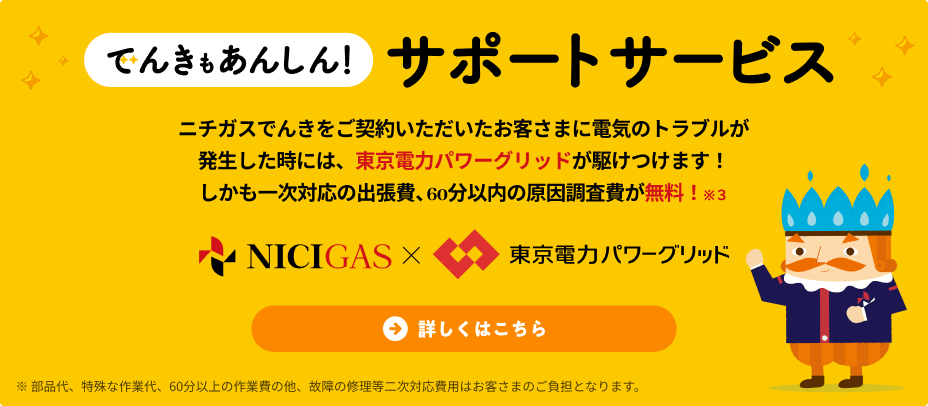 でんきもあんしん!サポートサービス