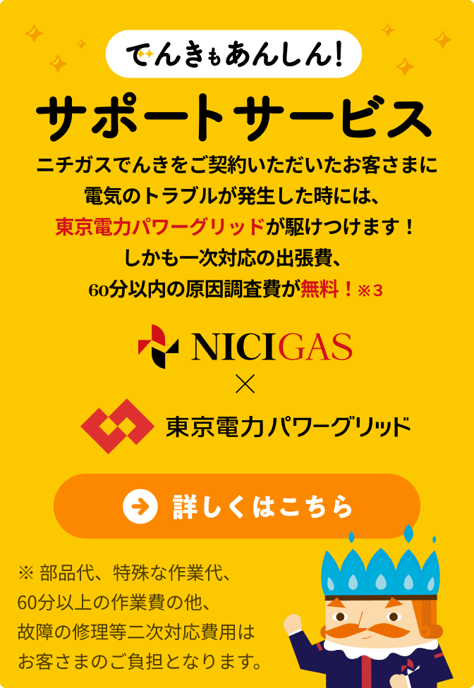 でんきもあんしん!サポートサービス