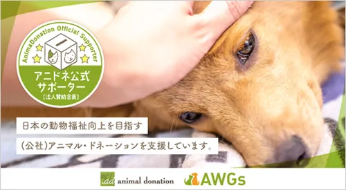 Animal Donation